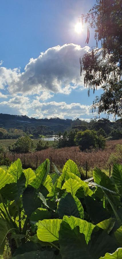 Loft No Campo Proximo Ao Vale Dos Vinhedos Villa Garibaldi Luaran gambar