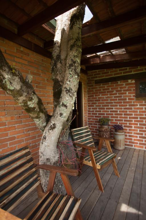 Loft No Campo Proximo Ao Vale Dos Vinhedos Villa Garibaldi Luaran gambar