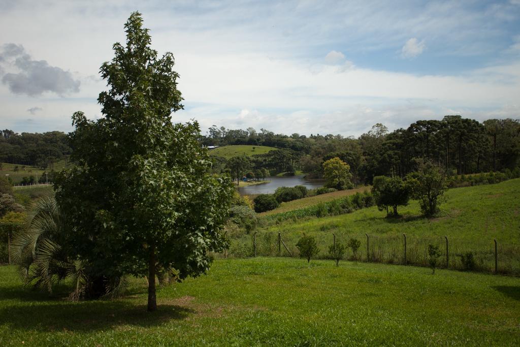 Loft No Campo Proximo Ao Vale Dos Vinhedos Villa Garibaldi Luaran gambar